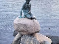-美人鱼