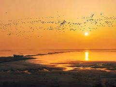 -黄海国家森林公园