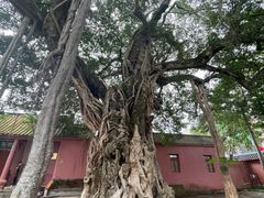 -闽粤南澳总镇府