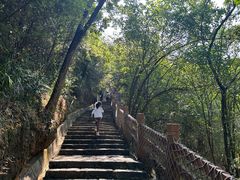 -广州白江湖森林公园