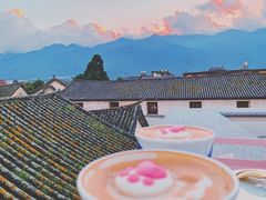 -喵屿·大理花园猫咖