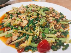 -功夫兔