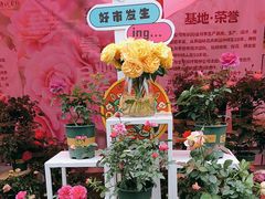 -人民公园(罗湖区)