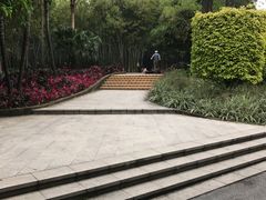 -晓港公园