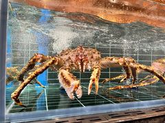 -雍容荟活帝王蟹活龙虾自助(苏宁旗舰店)