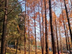 -白水寺森林公园