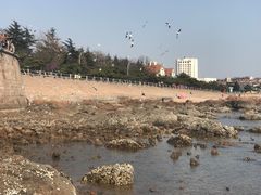 -青岛海滨风景区