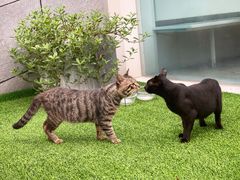 -UNI UNI(环亚凯瑟琳店)