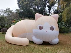 -广州兰圃