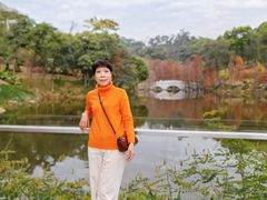 -云溪植物园