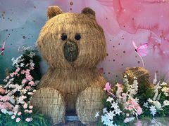 -洋洋广场(南街店)