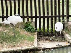-上方山森林动物世界
