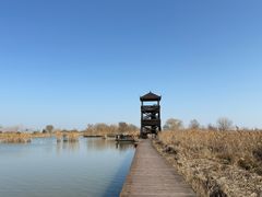 -盐城丹顶鹤湿地生态旅游区