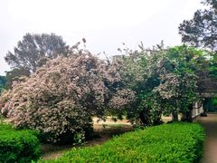 -国家植物园南园