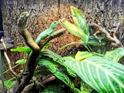 -酷嗒动物文化乐园(cutezoo西溪乐天城店)