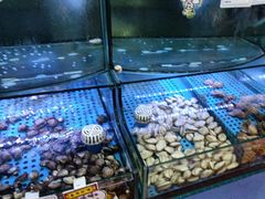 -晶渔坊·海鲜私房菜(东夷小镇店)