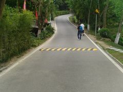 -火炉山森林公园