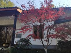-吴山景区