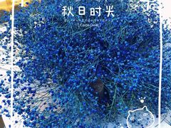 -新加坡斯味洛·鲜奶茶(石牌东店)