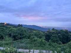 -金水泊山庄·花椒鸡(铁山坪店)