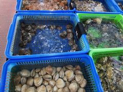 -七鲜渔港美食餐厅(巽寮湾海景店)