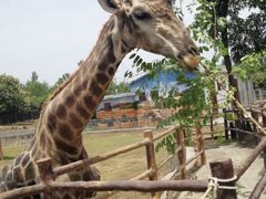 -西安秦岭野生动物园
