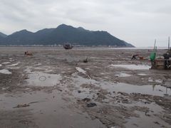 -北岐滩涂