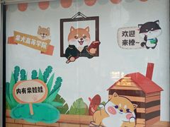 -柴犬高等学院·狗咖·柴犬售卖·宠物训练