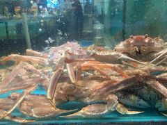 -潮粤香海鲜酒楼(沙湖店)