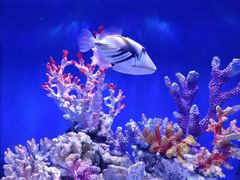 -多彩贵州城极地海洋世界