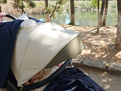 -前关湿地公园