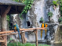 -清迈夜间动物园