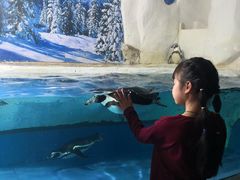 -左海海底世界
