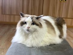 -白兔子密室(长寿路店)