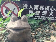 -呀诺达热带雨林