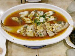 目鱼蛋蒸豆腐鱼-红灯笼龙凤饭店(宁波老字号店)
