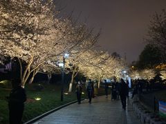-堤角公园
