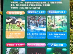 -深圳野生动物园
