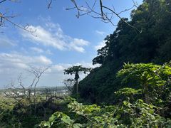-海口火山口国家地质公园