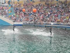 -秦皇岛乐岛海洋王国