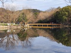 -八卦田遗址公园