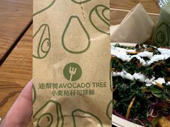 -油梨树 AVOCADO TREE(亮马桥店)
