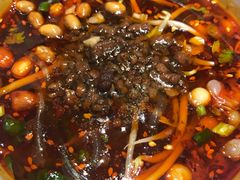 -眉州东坡(春秀路店)