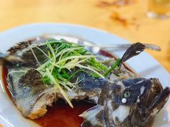 老虎斑-蚝专家(北滘店)