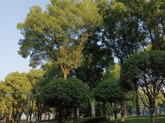 -重庆市江北嘴中央商务区中央公园