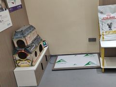 -派特宠物医院(圆融广场店)