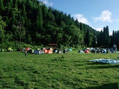 -武陵山森林公园