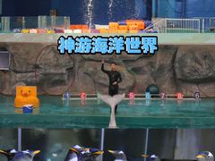 -威海华夏城景区