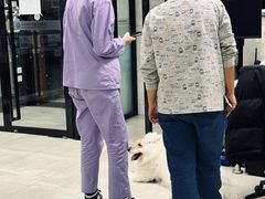 -北京派仕佳德动物医院·超导核磁·CT·神经科·骨科·内外科·急重症管理中心