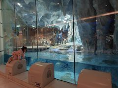 -帝企鹅自助餐厅•儿童岛•真企鹅(长隆企鹅酒店)